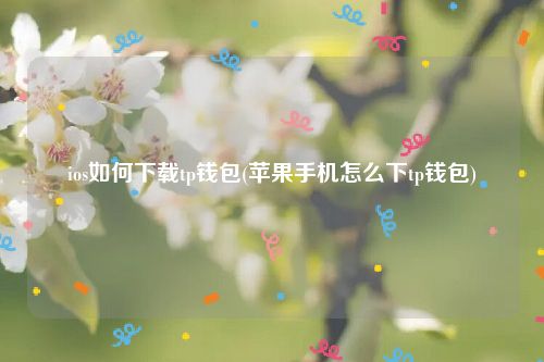 ios如何下载tp钱包(苹果手机怎么下tp钱包)