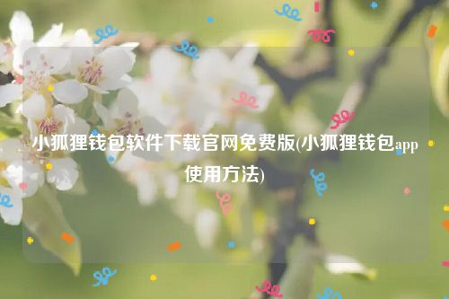 小狐狸钱包软件下载官网免费版(小狐狸钱包app使用方法)