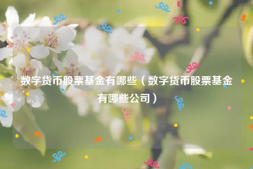 数字货币股票基金有哪些（数字货币股票基金有哪些公司）