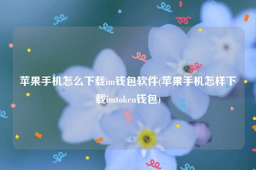 苹果手机怎么下载im钱包软件(苹果手机怎样下载imtoken钱包)