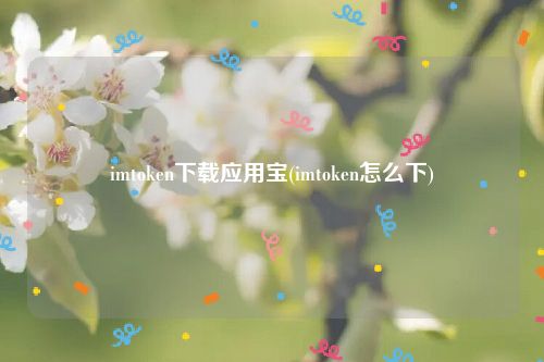 imtoken下载应用宝(imtoken怎么下)