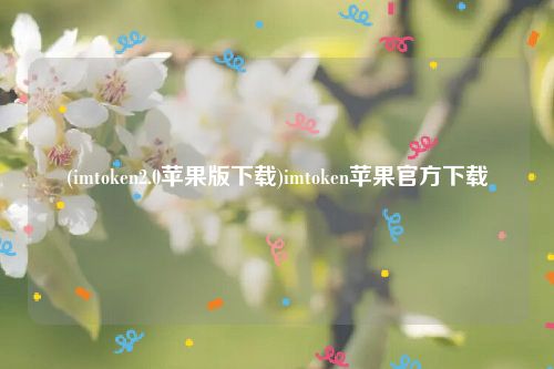 (imtoken2.0苹果版下载)imtoken苹果官方下载