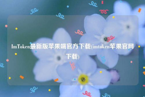 ImToken最新版苹果端官方下载(imtoken苹果官网下载)