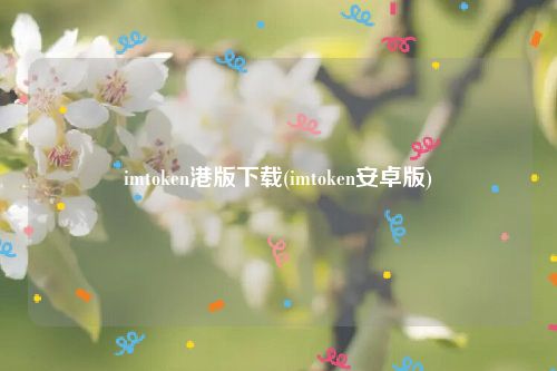 imtoken港版下载(imtoken安卓版)