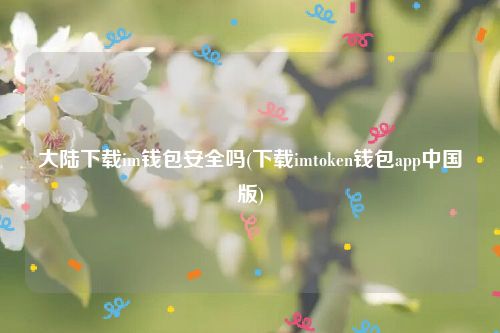 大陆下载im钱包安全吗(下载imtoken钱包app中国版)